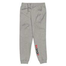 Load image into Gallery viewer, Unisex fleece sweatpants